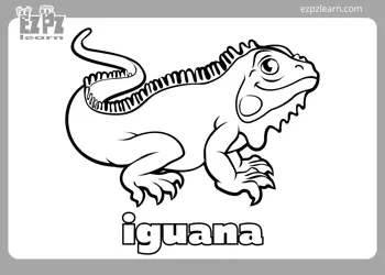 Iguana Coloring Page